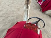 ラクダ乗り体験