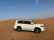 砂丘ドライブの車