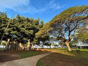 カピオラニ公園