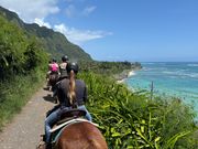 海を右手に望むトレイル