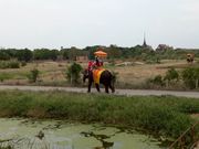 象乗り体験と遺跡