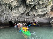 シーカヤックまたは手漕ぎ舟で遊覧