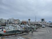 漁港から出発します