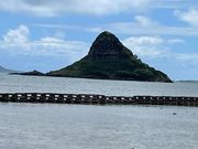 チャイナマンズハットー！