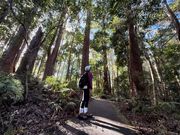 大自然で深呼吸…