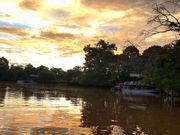 サンセットが最高です