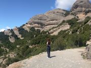 山の上の景色も堪能できました