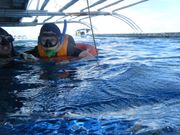 船に上がるところの補助の状況