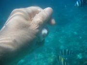 手に持ったパンのカケラをまくところです。