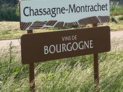 白ワインで有名なモンラッシェ。ボーヌの勘所押さえていただきました。