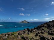 ラビットアイランド