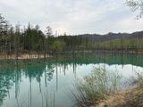 緑の池