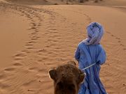 サハラ砂漠でラクダに乗りながら夕日を鑑賞