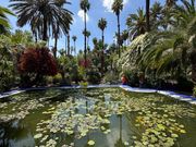 イブサンローランが愛したマジョレル庭園