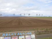 メルヘンの丘のところで車を停めていただき撮影