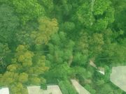 足元ガラス張りのタイプのロープウェイに乗りました