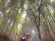 嵐山竹林すごかねー