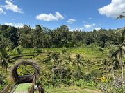 テガラランライステラス