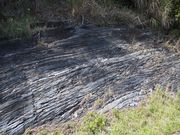 砂岩と泥岩の織りなす美しい地層。褶曲とクオーツの析出も認められた。