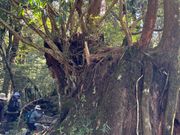 大自然を肌で体感