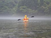 霧の世界にいざなわれて。
