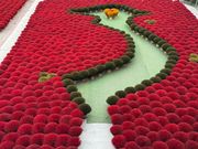 ベトナムの国に見立てたお線香