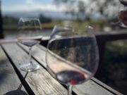 葡萄畑をみながらテイスティング