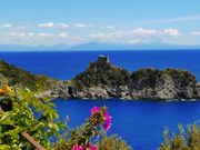 ランチ後にレストラン庭先から