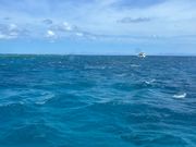 かなり風吹いてましたが水中は流れてませんでした！風で透明度悪い状態でも20mくらい抜けてて👍🏻