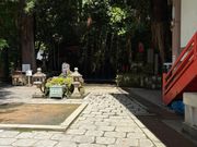 滝行を行う場所