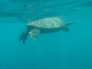 素晴らしい体験