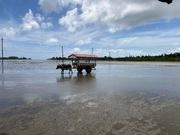 ゆったりとした時間が流れます