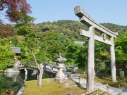 東山の新緑に包まれる永観堂