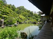 智積院の新緑が美しい庭園