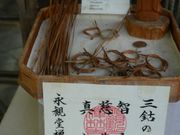 ３つの福が訪れる三鈷の松