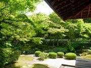 お庭の緑も綺麗な泉涌寺