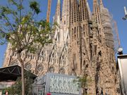 白くなっている・□・；）