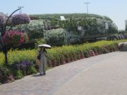 ミラクルガーデン②