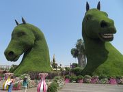 ミラクルガーデン①