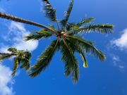 寝っ転がりながらの一枚