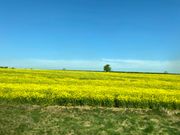 車窓からの風景