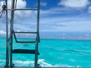 パイレーツ🏴‍☠️カリビアンの海