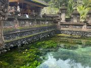ティルタエンプル寺院の湧き水