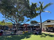 ハレイワ、見たいお店やエリアがたくさん。時間が許す限り満喫！