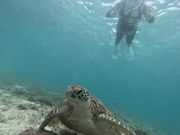 テンションMAX！！