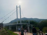 ジョンヒョクがスイスの橋でセリに会っていたことを打ち明けたつり橋（抱川のハヌル橋）