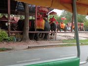 トゥクトゥクからの景色