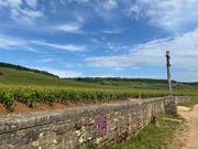 ロマネ・コンティ村