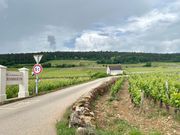 シャンベルタン通り