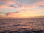 マンタの前の夕陽